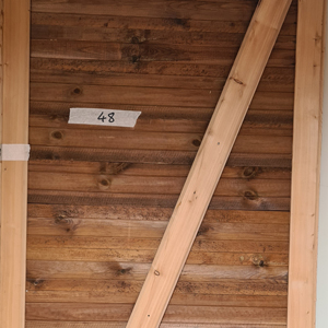 31